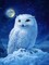 Diamond Painting Kits for Adults Owl on Snowy Mountain DIY 5D Diamond Art Kits for Beginners Full Drill Diamond Dots Crystal Craft Kits